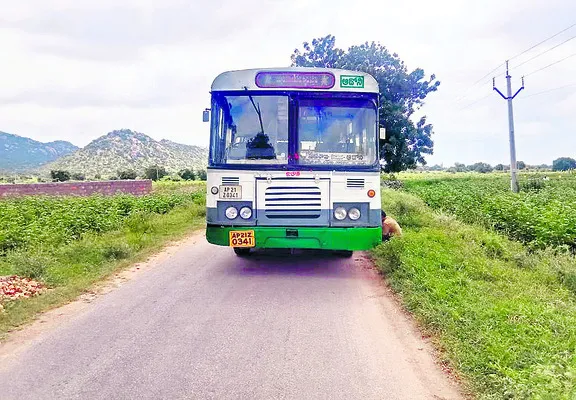 విద్య