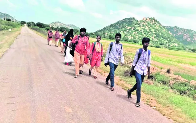 విద్య