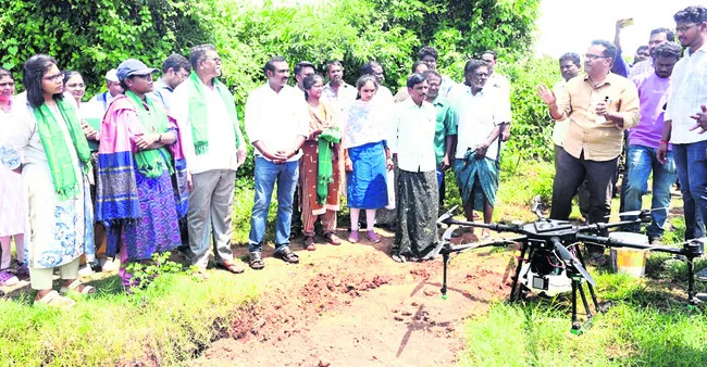 కలెక్టర్ వెట్రిసెల్వి