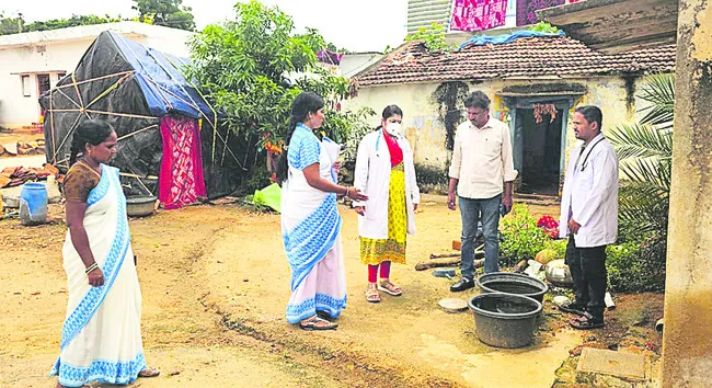 డెంగీ