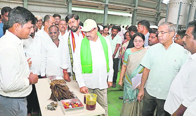 సంప్రదాయ పంటలకు స్వస్తి
