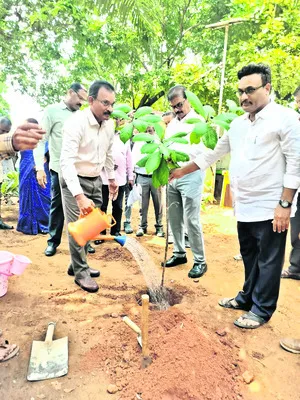 ఏపీఈపీడీసీఎల్‌లో స్వచ్ఛాంధ్ర 