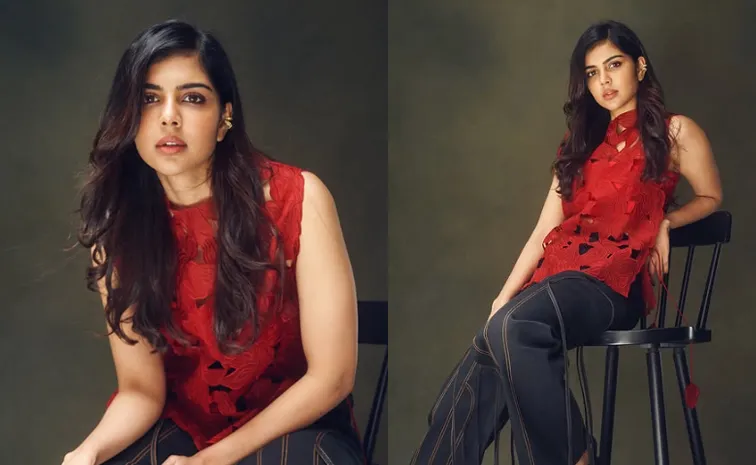 Kalyani Priyadarshan Once Lived in Orphanage