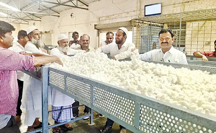 Bivoltine silk farmers not getting subsidy money: Andhra Pradesh