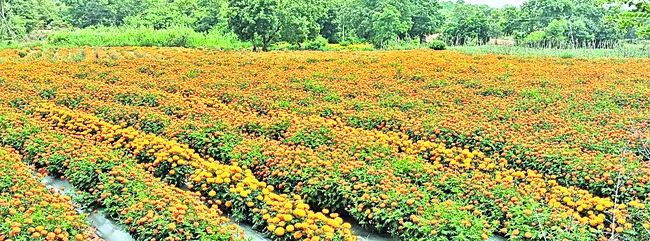పూలతో