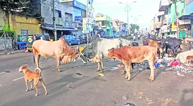 వేధిస