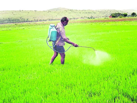 రైతన్