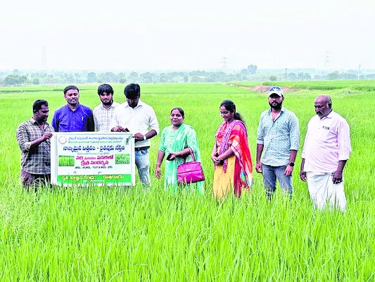 ఆర్థి