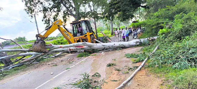 ఒంటిమ