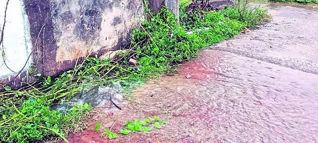 రైలు 