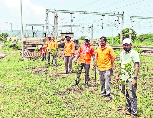 పర్యావరణ పరిరక్షణలో మొక్కలు కీలకం