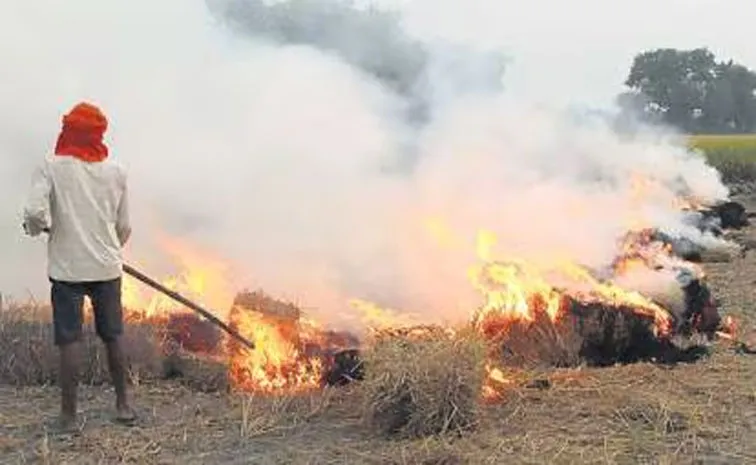 Punjab Reports 27 Stubble Burning Cases in 5 Days