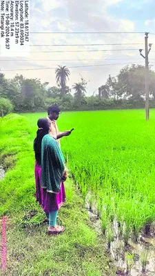 వెబ్