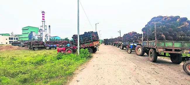 ఆయిల్