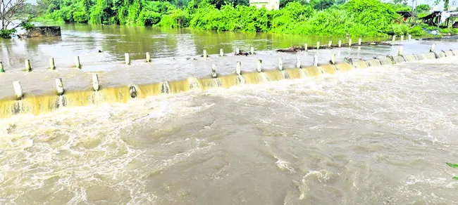 బుచ్చ