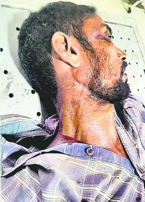 భూమి 