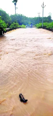 అర్జీ