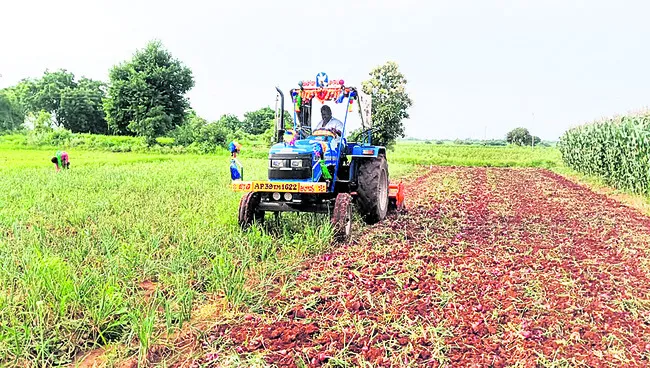 ఉల్లి పంటను  దున్నేసిన రైతు 