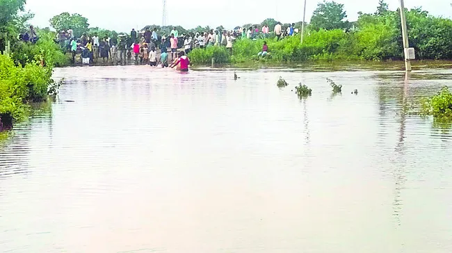 దంచికొట్టి.. దడపుట్టించి