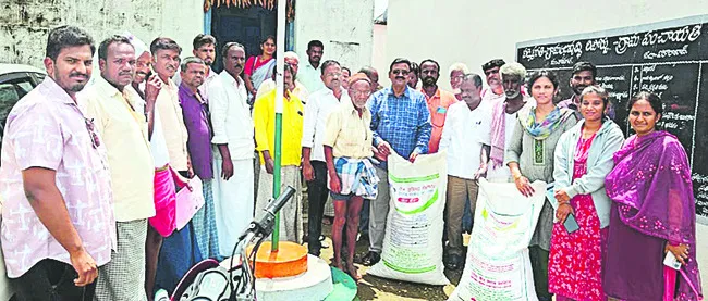 నూనె గింజల సాగుతో అధిక ఆదాయం
