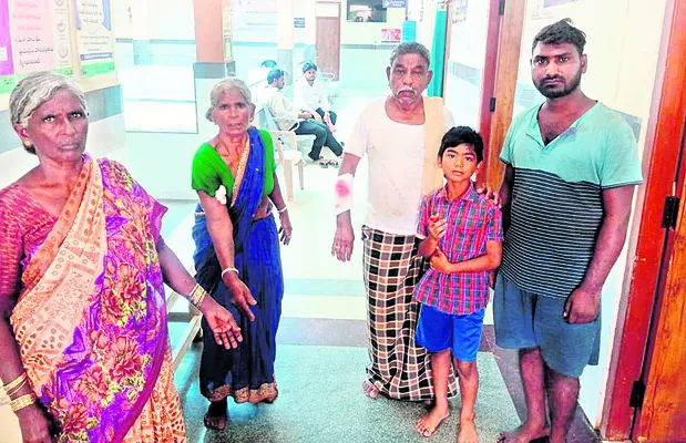 చెలిమిల్లలో పిచ్చికుక్కల స్వైర విహారం 