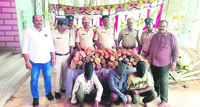 గంధం చెట్ల దొంగలు దొరికారు 