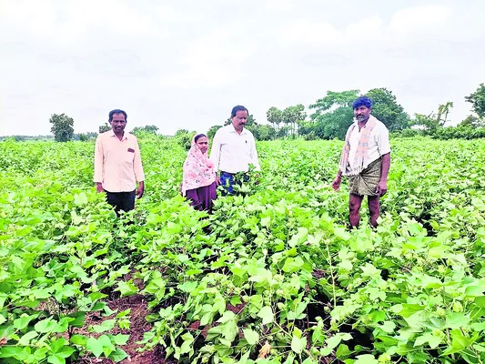టీటీడ