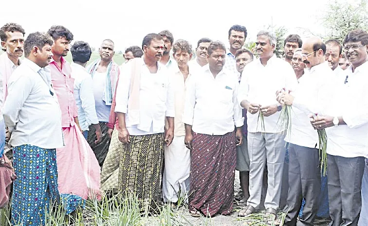 YSRCP SV Mohan Reddy Comments On Onion Farmers Struggle