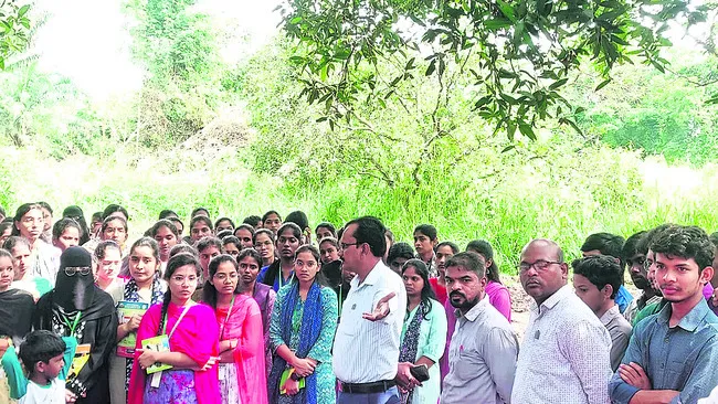 ఆర్గానిక్‌ మల్చింగ్‌పై అవగాహన 