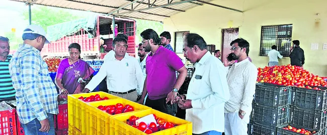 చీనీ, టమాట మార్కెట్ల పరిశీలన 