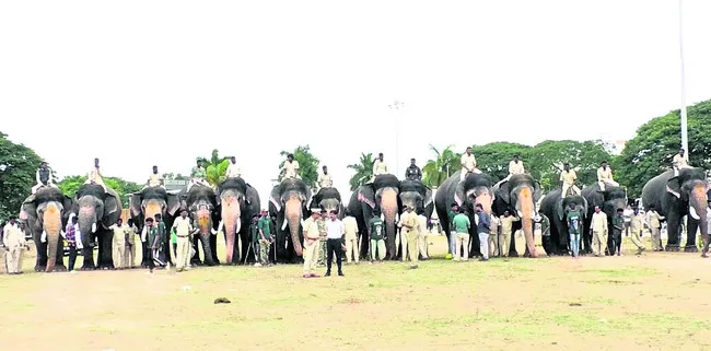 ఫిరంగ