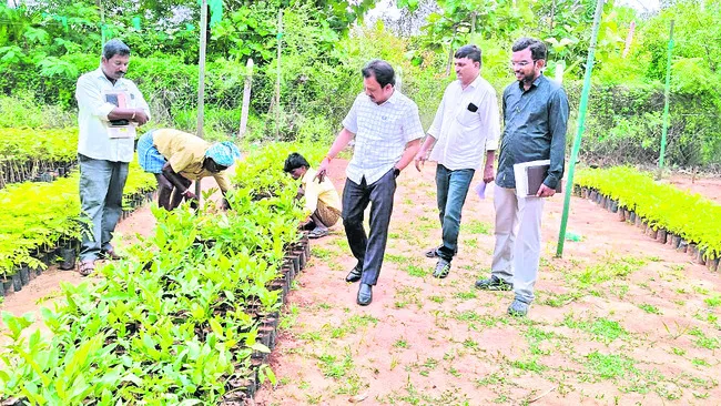 అకడమి