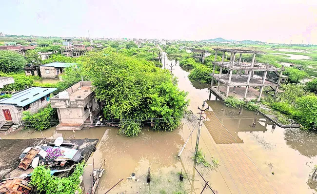కాలనీ