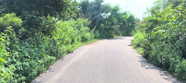 మూల మ