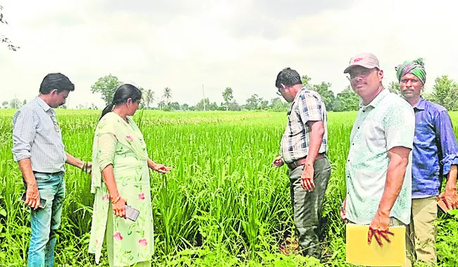 పోషకా