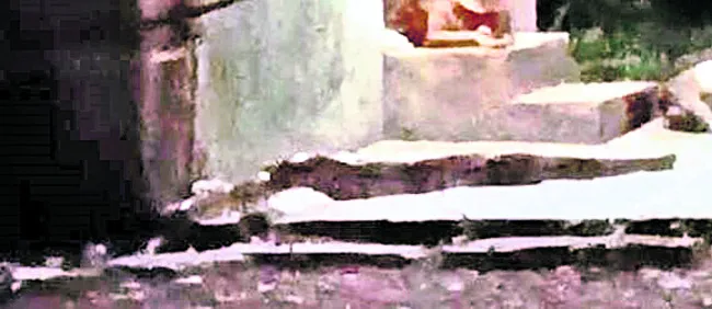 సెలవు