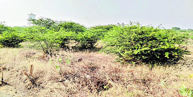 గోడు పట్టదు.. గోస తీరదు! 