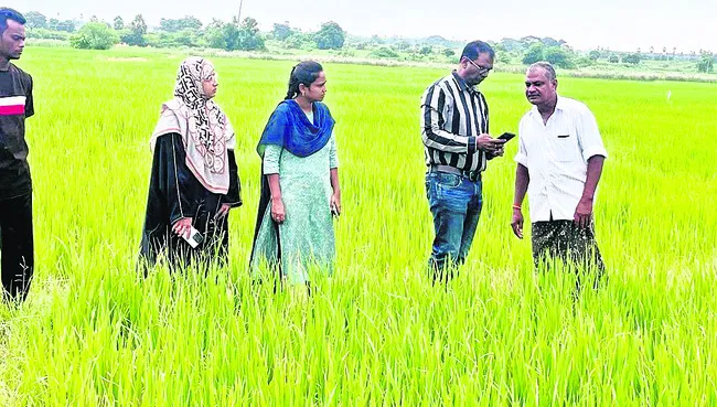 సస్యరక్షణ చర్యలతో తెగుళ్ల నివారణ