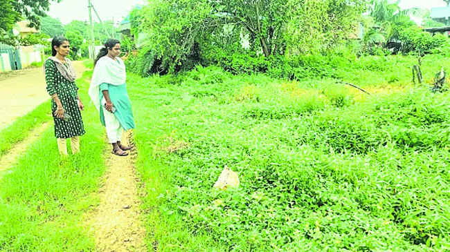 పల్లెప్రగతి వైపు అడుగులు
