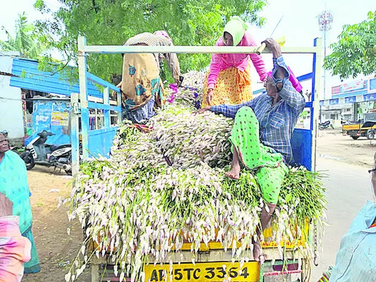 గునుగ