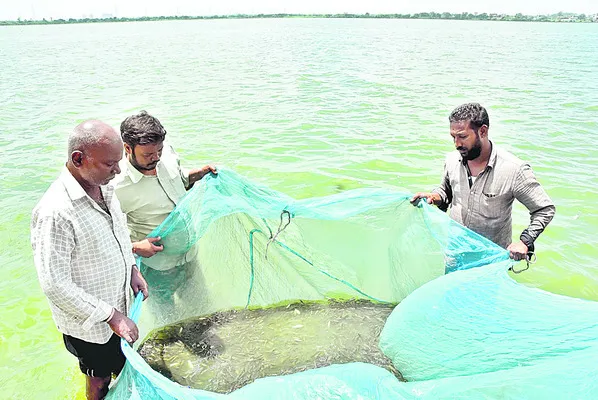 కొను‘గోల్‌మాల్‌’..!