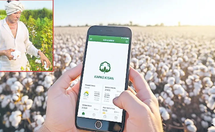 Ginning mills conspiracy: prevent cotton farmers from getting minimum support price