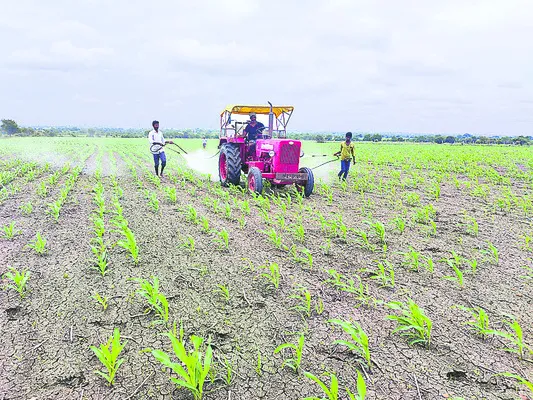 అన్నదాతకు ఆసరా