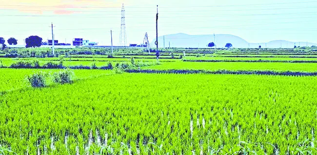 రైతుల జీవితాలతో ఆటలు.. 