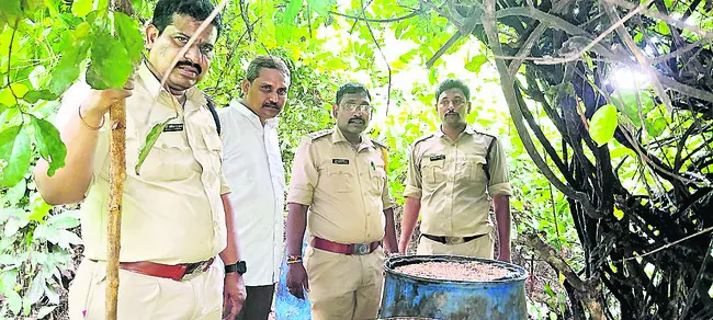 ఏఓబీలో ఎకై ్సజ్‌ దాడులు