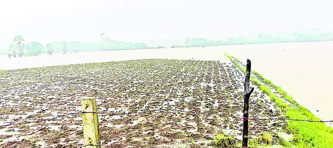 వదలని ముసురు 