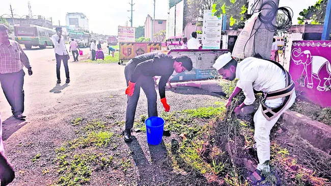 పరిశు