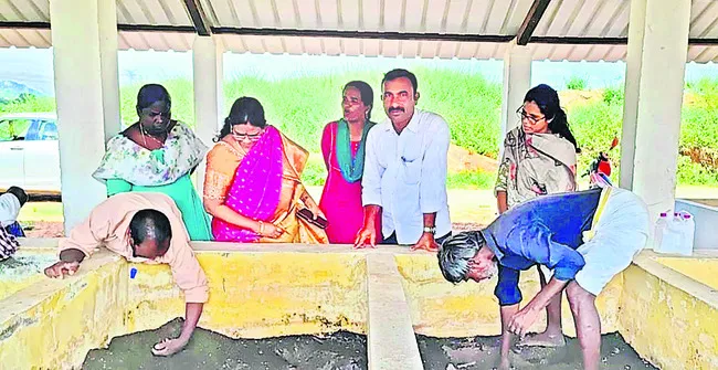 నేడు