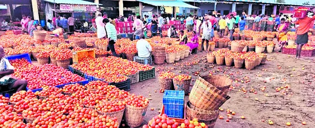 టమాట ధర మరింత పతనం