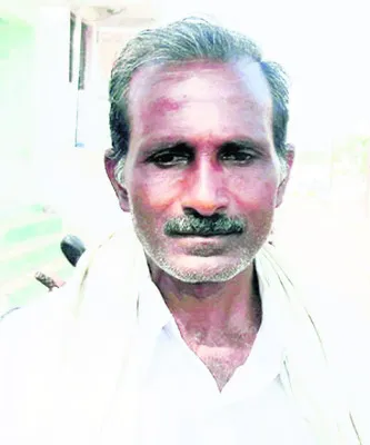 సాగు 